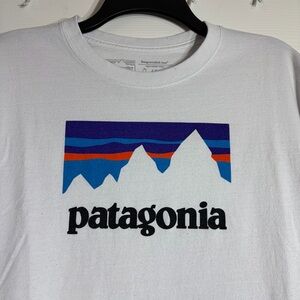 Patagonia Graphic Tshirt Large